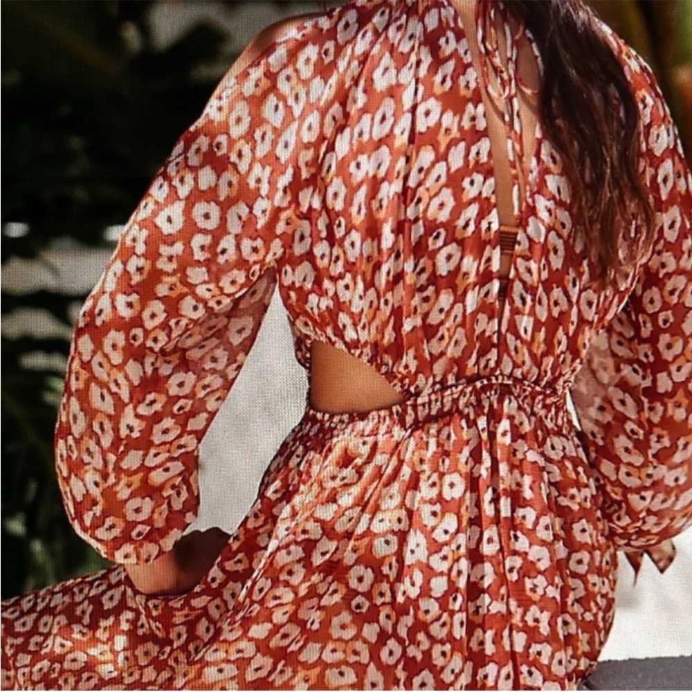 Anthropologie Sheer Burnt Orange Floral Maxi Dress - Picture 4 of 6
